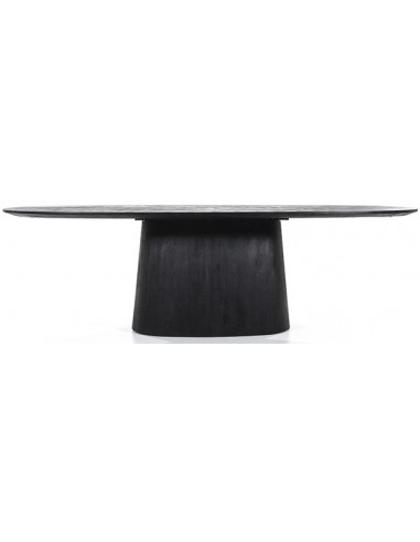 Aron aflangt spisebord i mangotræ 250 x 110 cm - Sort