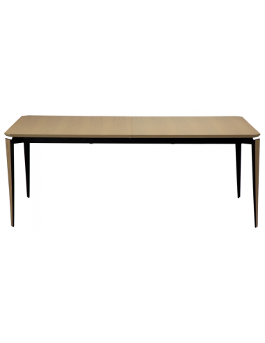 EDGE Spisebord med udtræk i metal og egetræsfinér 200 - 300 x 100 cm - Sort/White wash